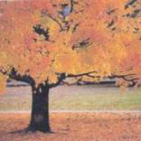 org:/landingpages/winnaars DK NO SE/25e-prize-scandinavie.jpg